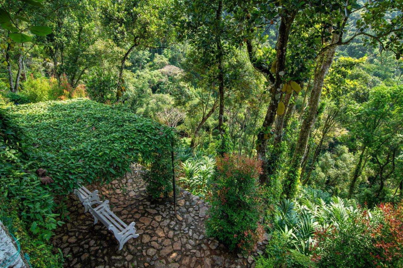 Tea Harvester Munnar Exterior photo